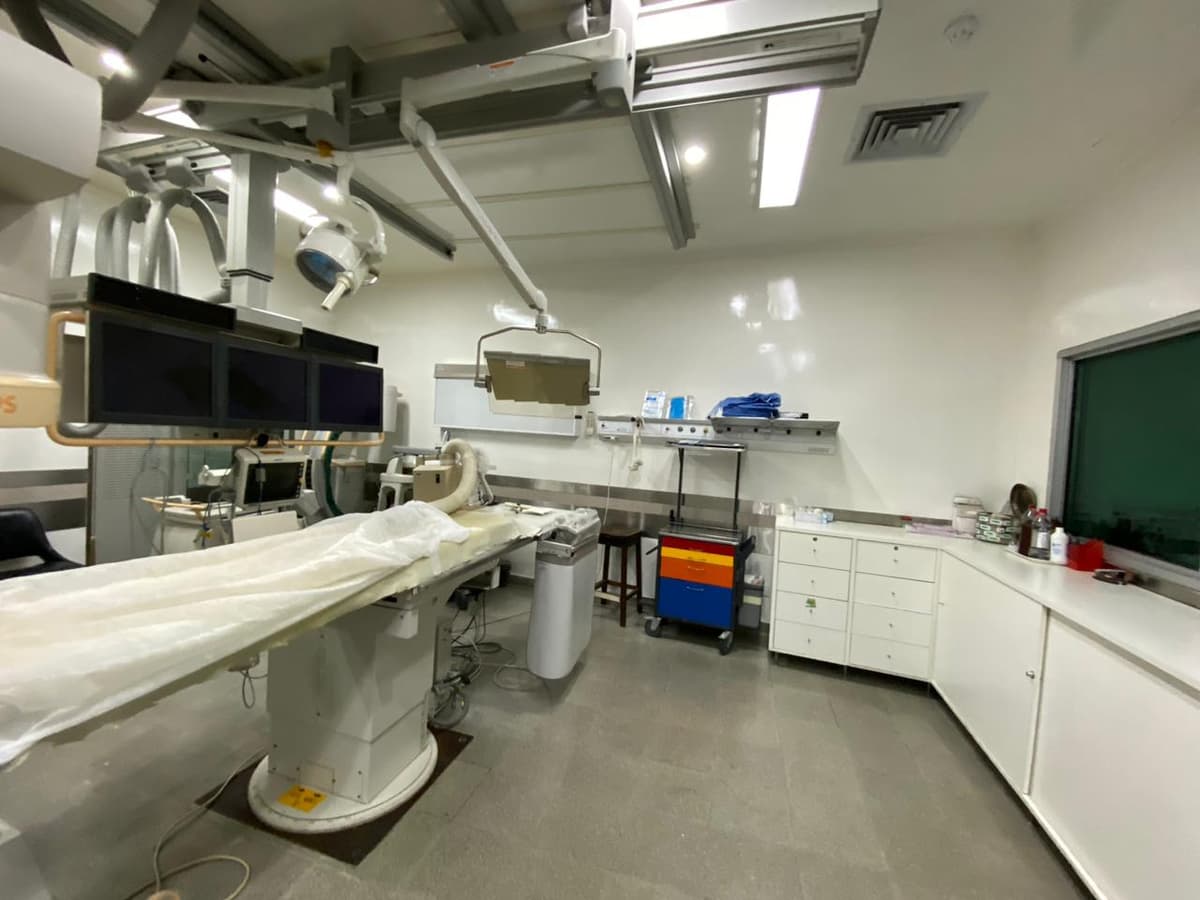 Hospital de Niños Dr. Ricardo Gutierrez - imagen 4