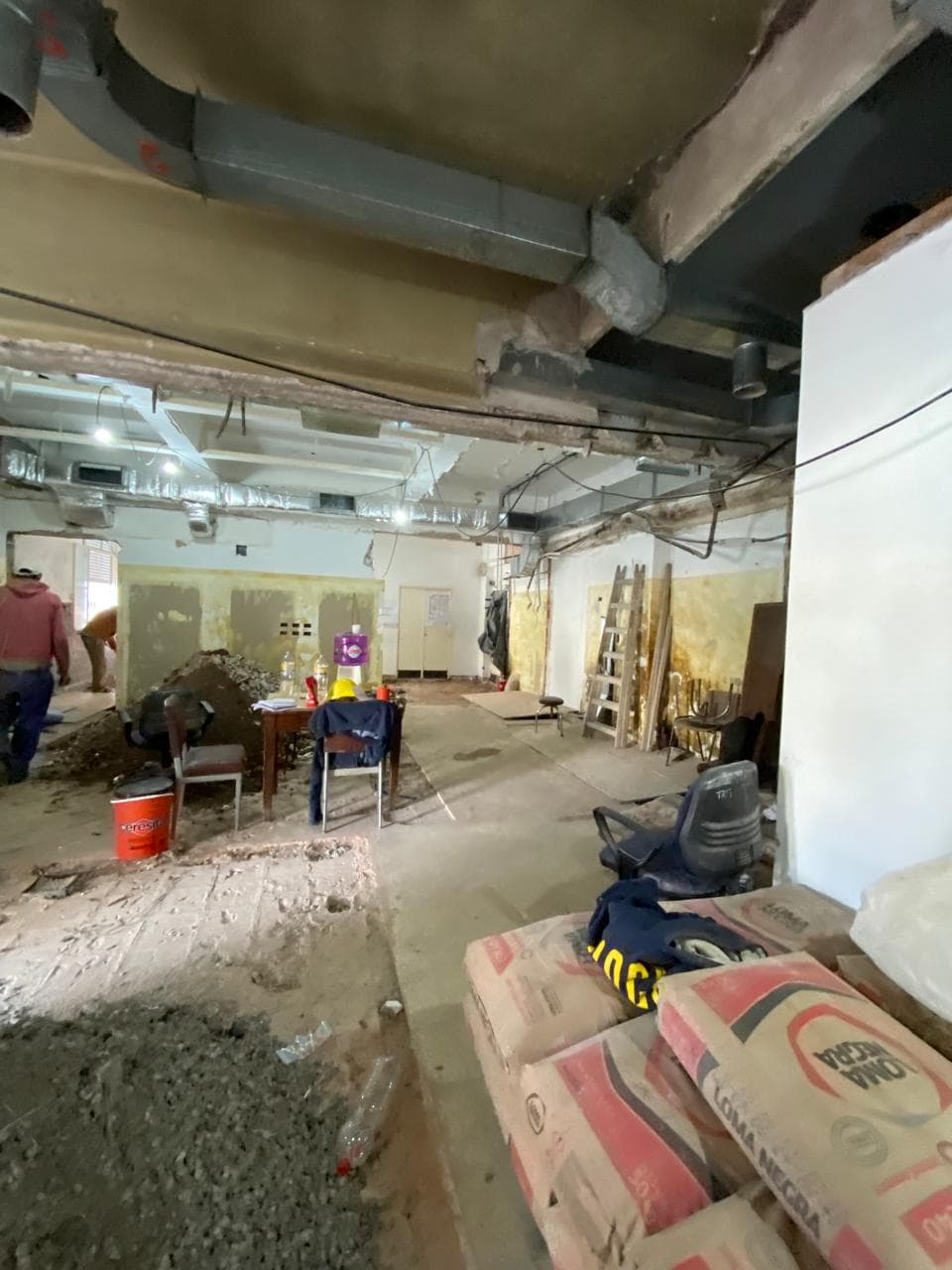 Hospital General de Agudos José María Ramos Mejía - imagen 4